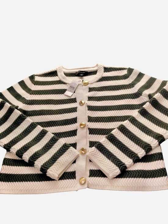 Ann Taylor Sweaters - Ann Taylor Striped Crewneck Cardigan in Green and Cream